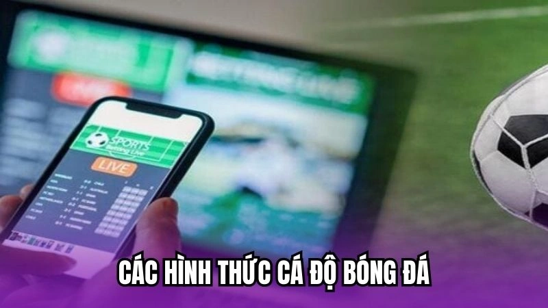 Các hình thức cá độ bóng đá